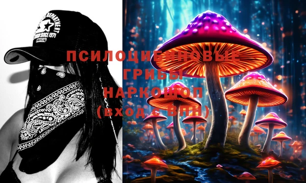 гидропоника Белокуриха