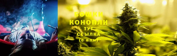 гидропоника Белокуриха