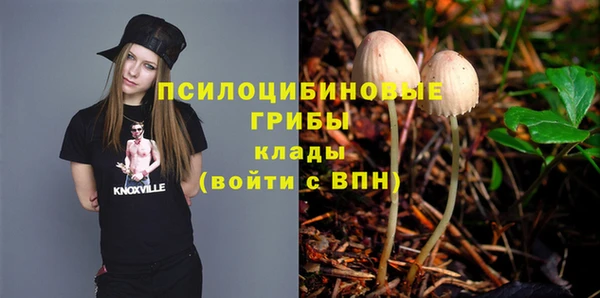 хмурый Новокубанск