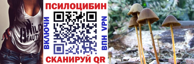 Псилоцибиновые грибы прущие грибы  купить наркотик  Болгар 